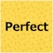Quilters Basic Perfect 4519